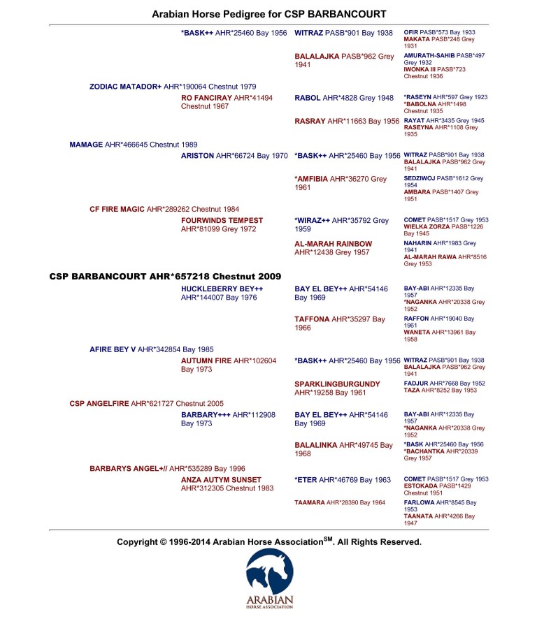 Barbancourt pedigree for csp web site (2).jpg