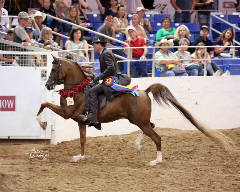 BBC Scottsdale Park Champ2 2016 low res