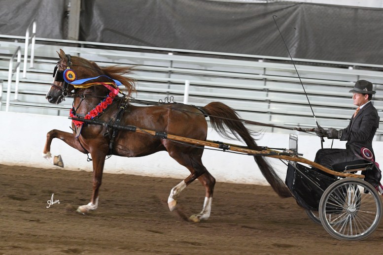 Reg 11 Driving Werts_REGXI17_2791-8x12-300dpi